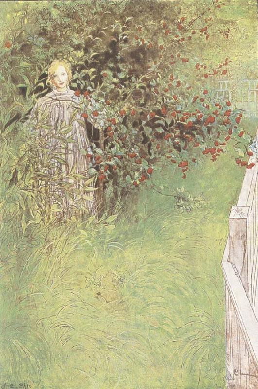 Carl Larsson A Fairy china oil painting image